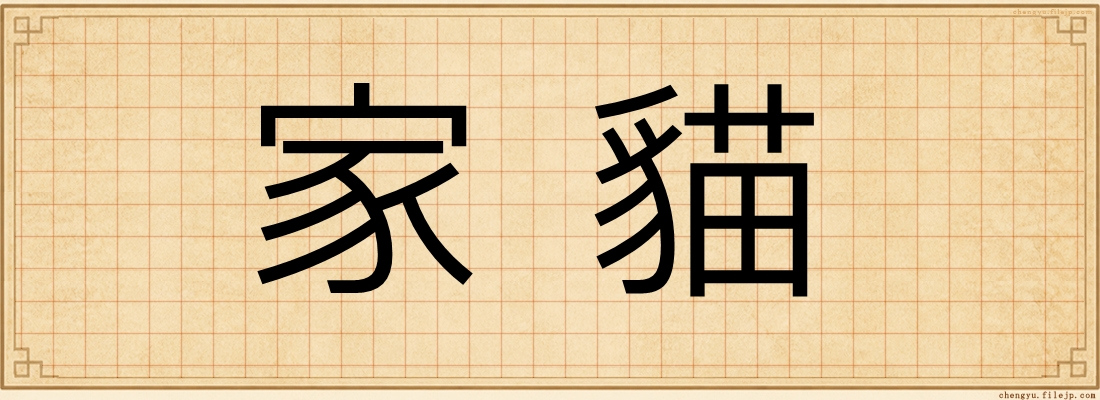 家貓