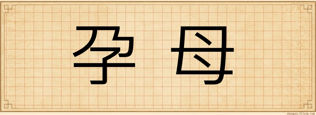 孕母