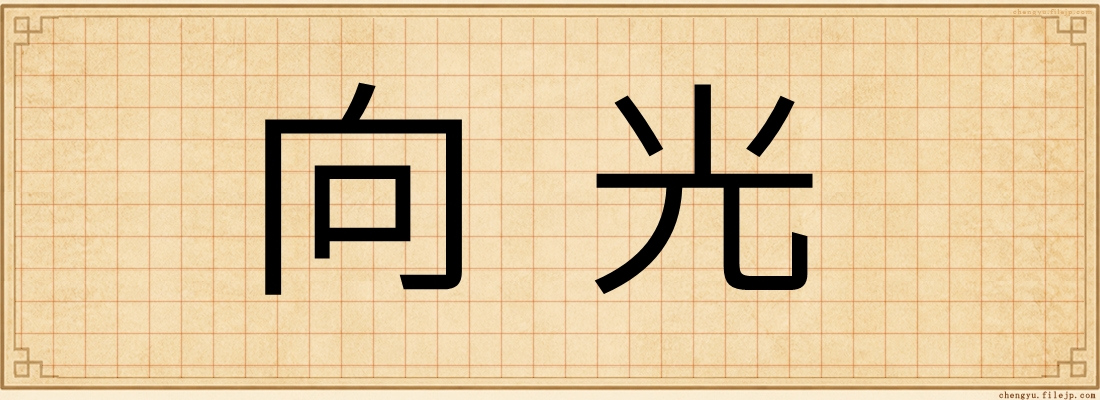 向光