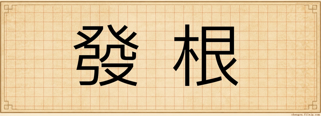 發根