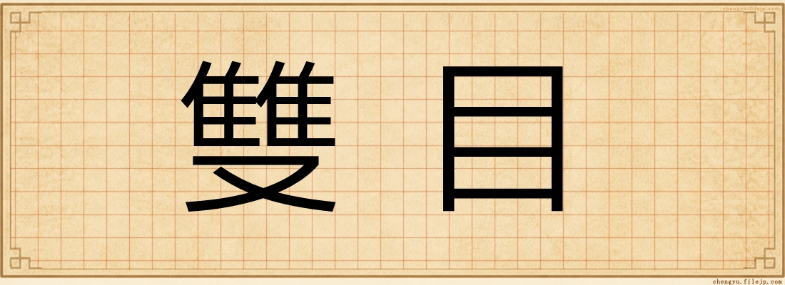 雙目