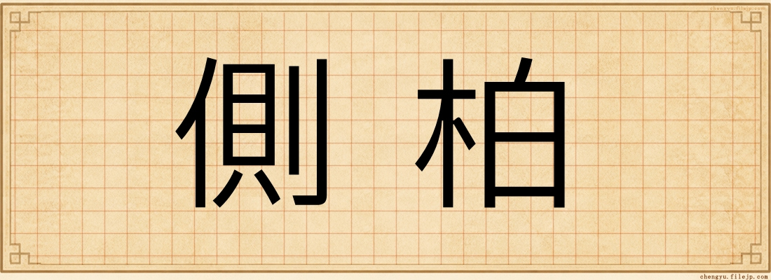 側柏