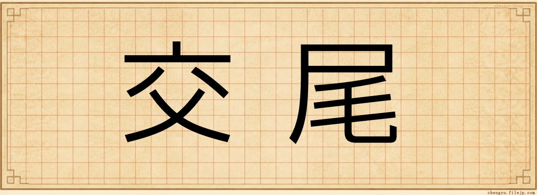 交尾