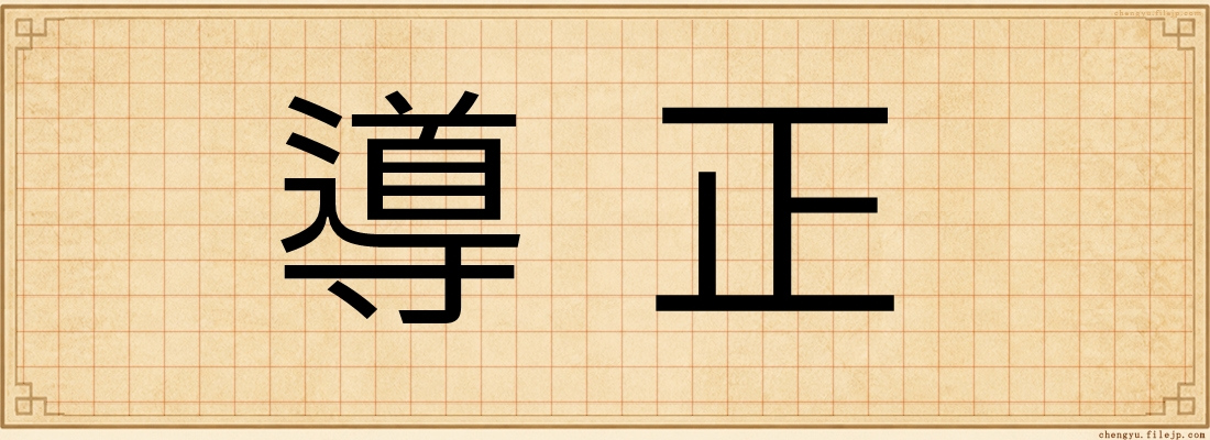 導正