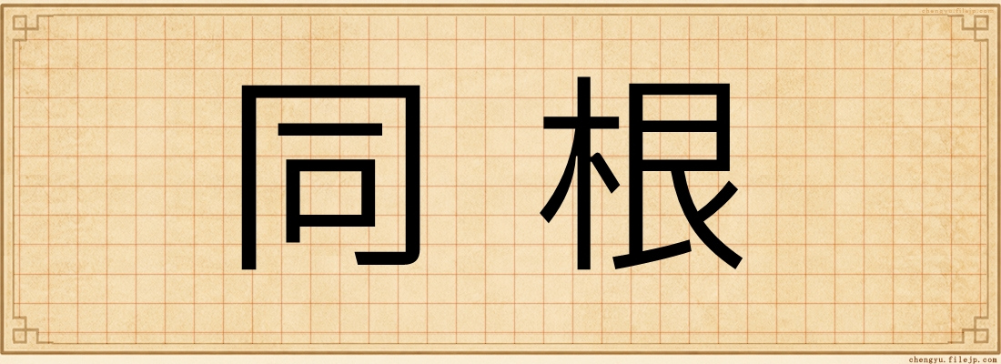同根