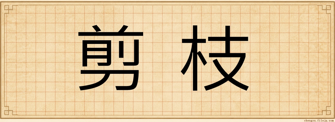 剪枝