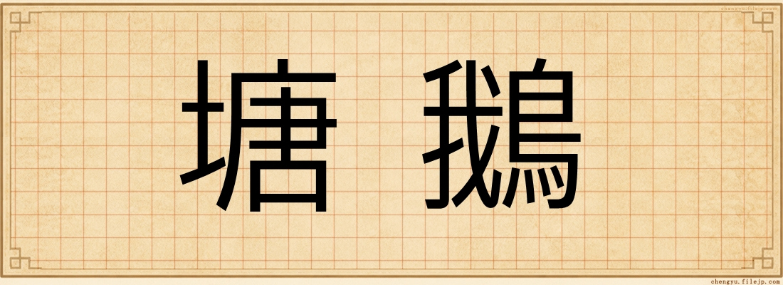 塘鵝