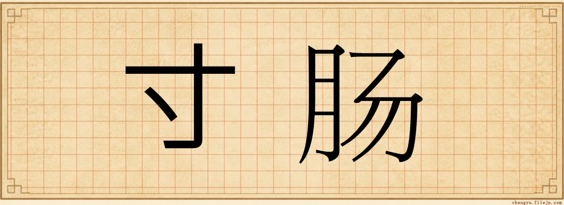 寸肠