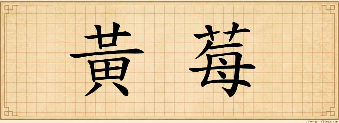 黃莓
