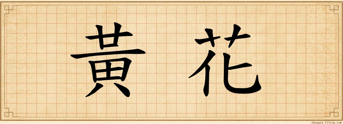 黃花