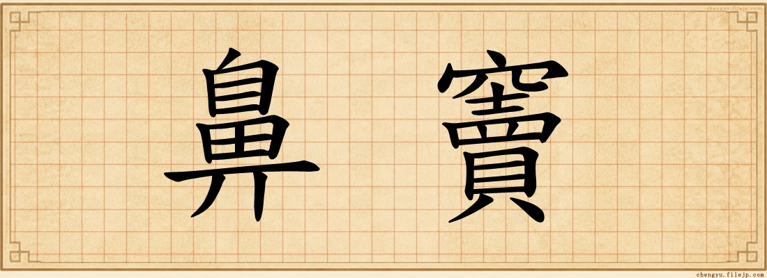 鼻竇