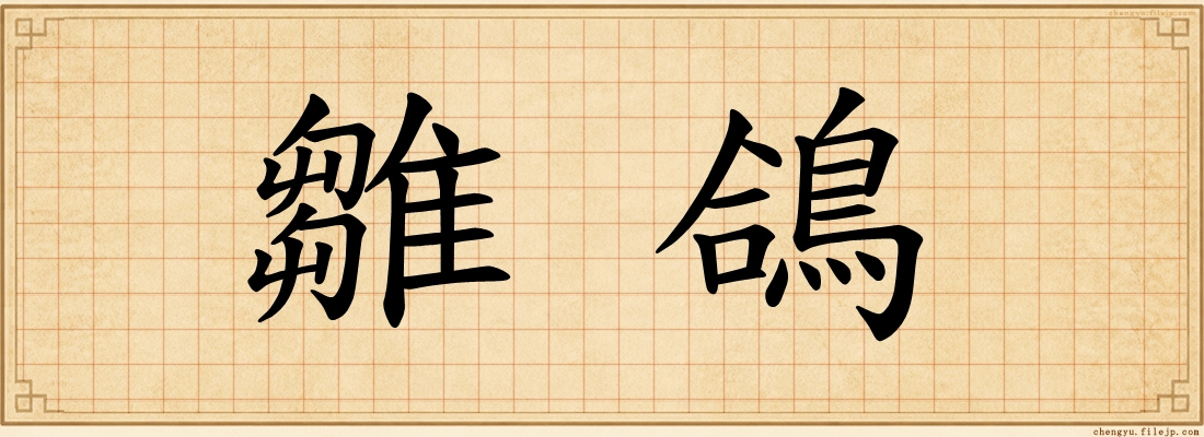 雛鴿