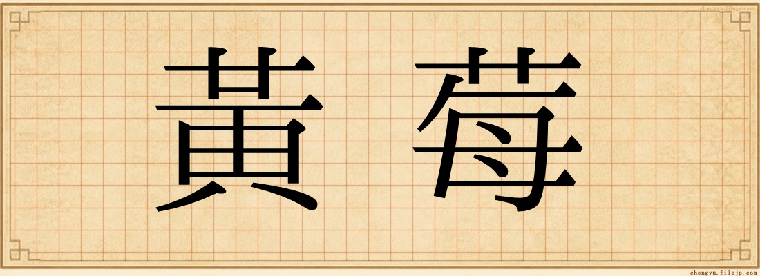 黃莓