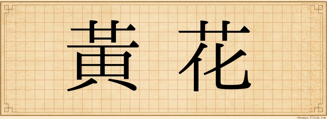 黃花