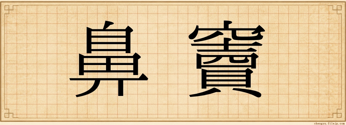 鼻竇