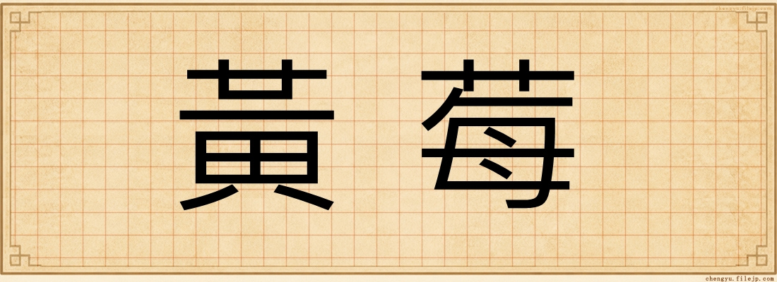 黃莓