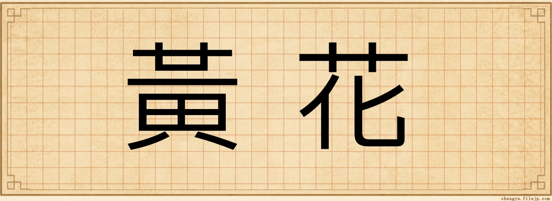 黃花