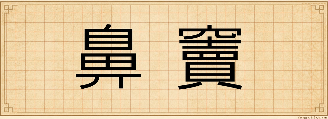 鼻竇