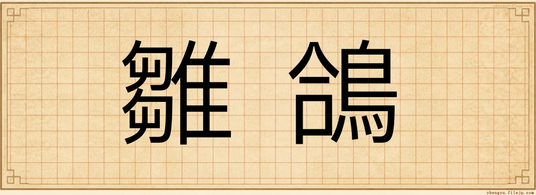 雛鴿