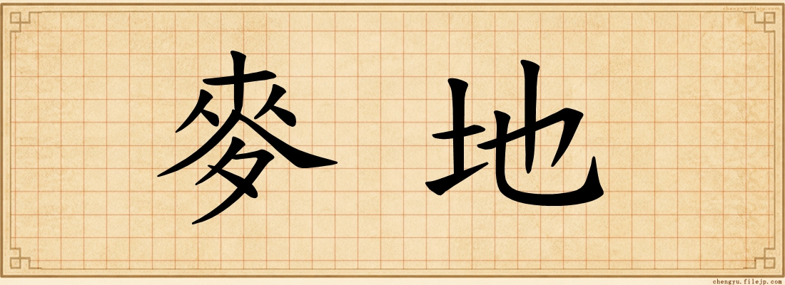 麥地