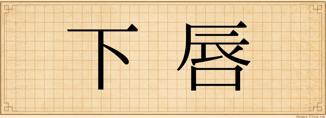 下唇