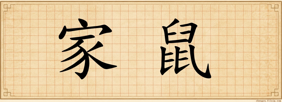 家鼠
