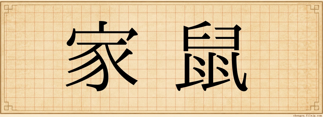家鼠