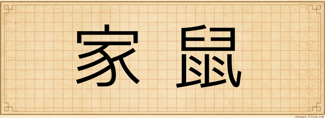 家鼠