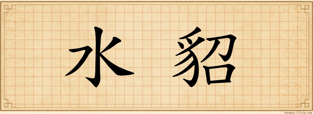 水貂