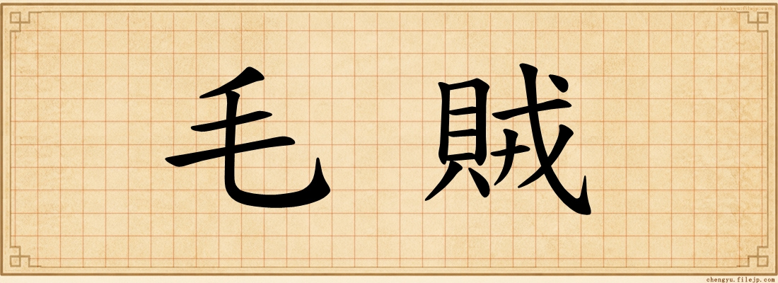 毛賊