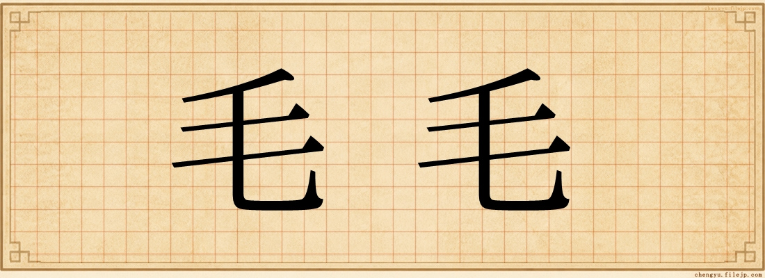 毛毛