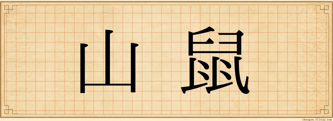 山鼠