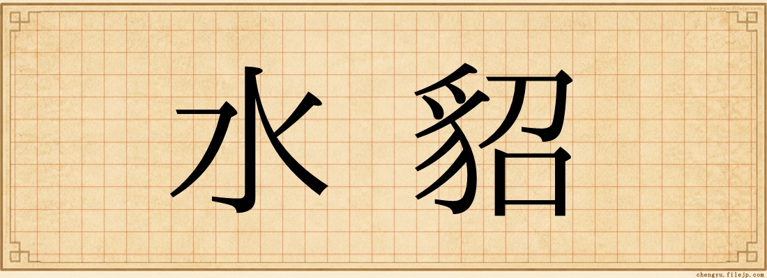 水貂