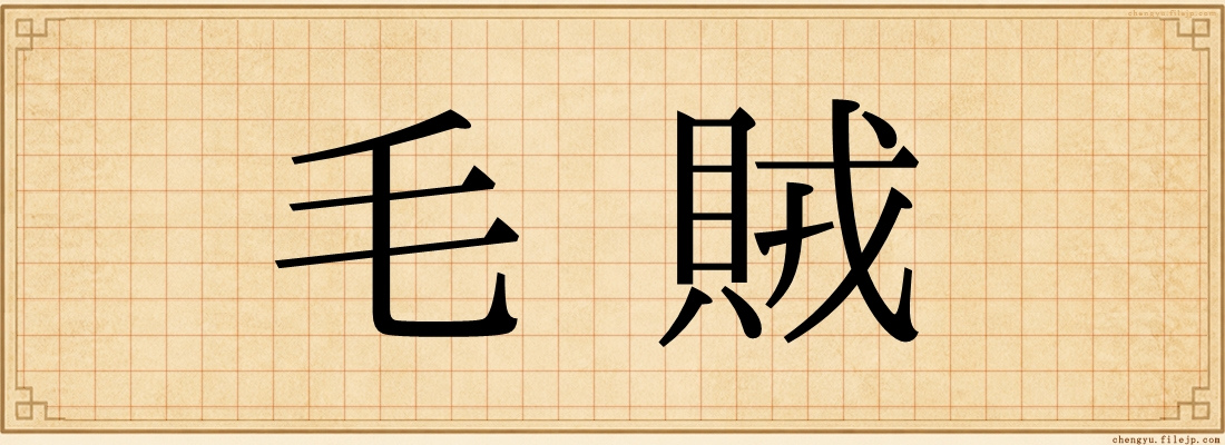 毛賊