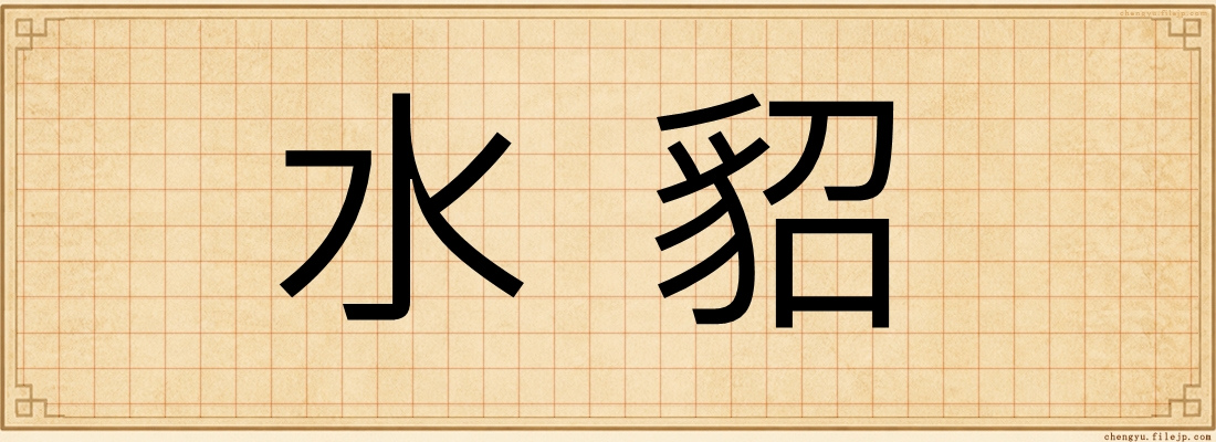 水貂