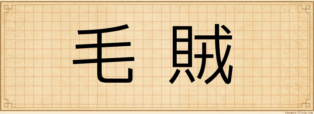 毛賊