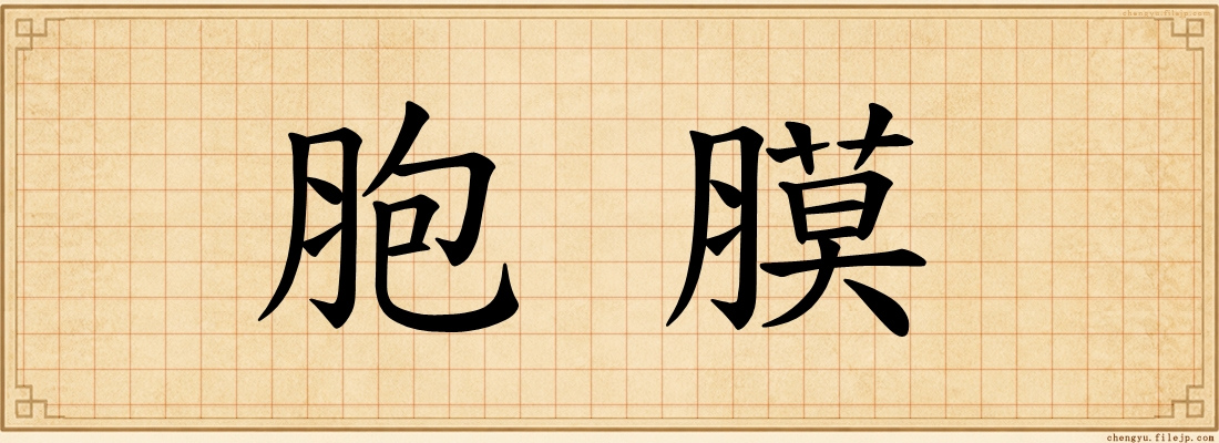 胞膜