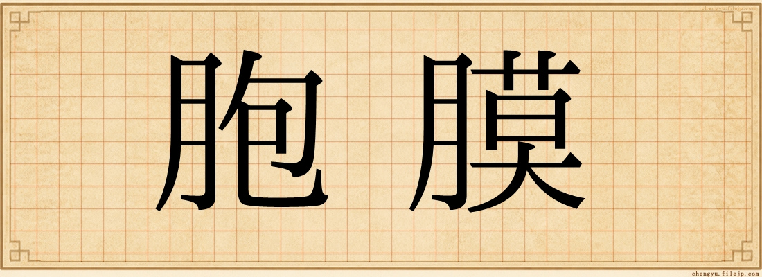 胞膜