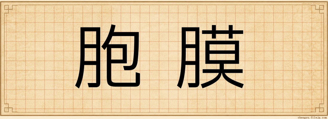 胞膜