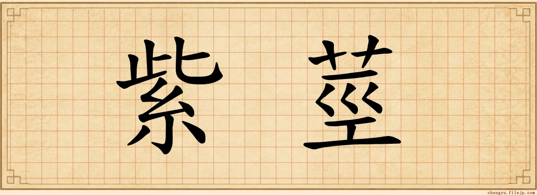 紫莖