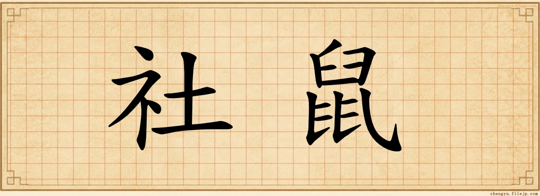 社鼠