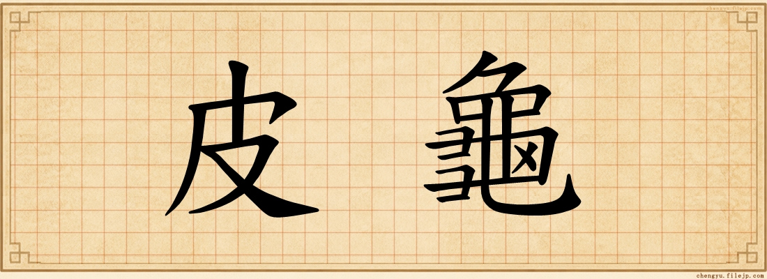 皮龜