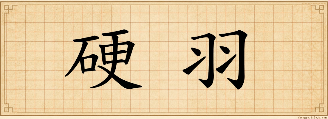 硬羽