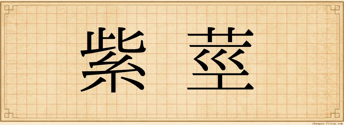 紫莖