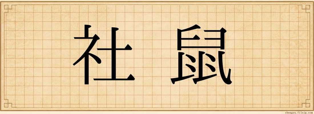 社鼠