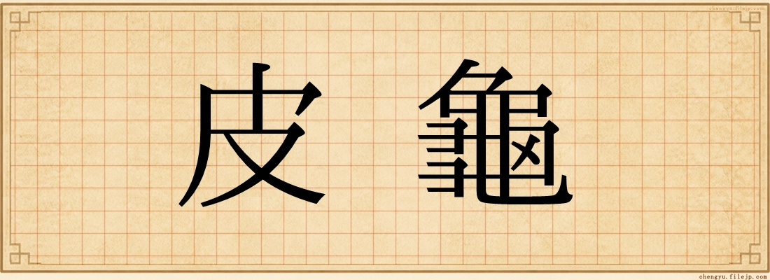皮龜