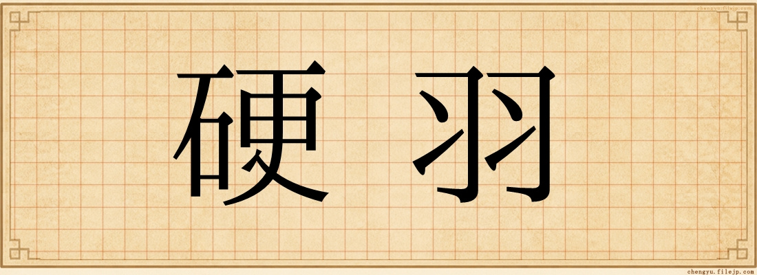 硬羽