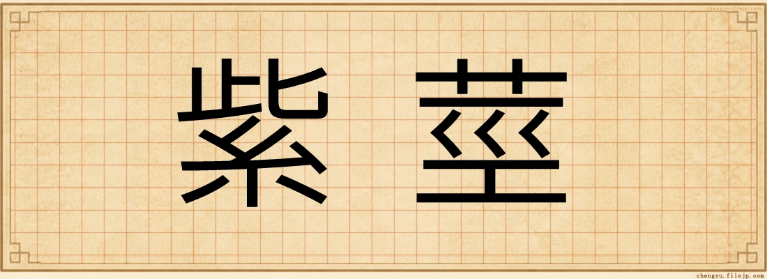 紫莖