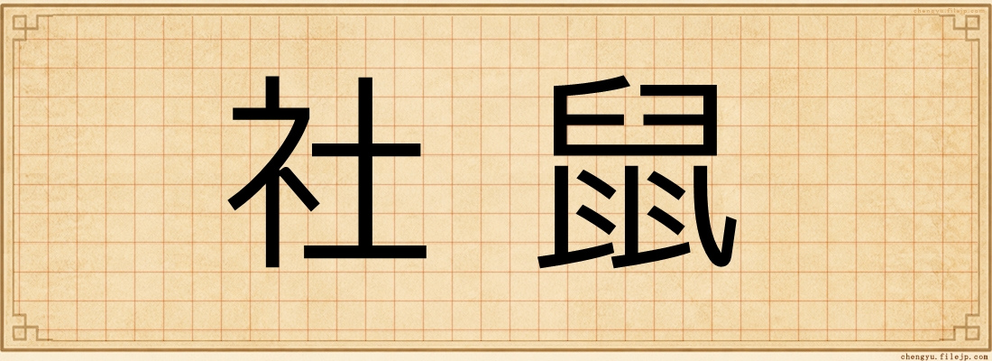 社鼠