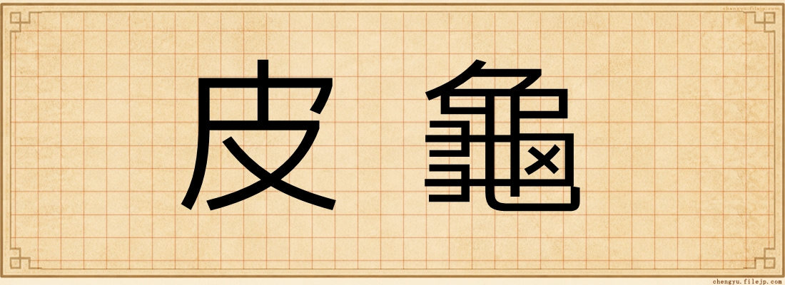 皮龜